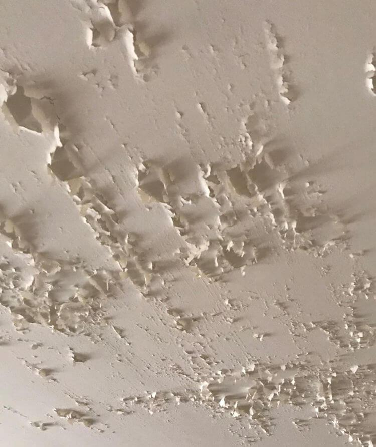 Popcorn ceiling removal